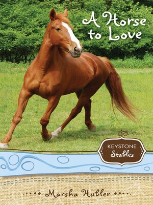 cover image of A Horse to Love